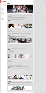 上海杉达学院服装设计学院网站设计 第二方案稿