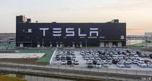 又一个“特斯拉杀手”？今年最大IPO诞生，网页设计行业迎来新变革