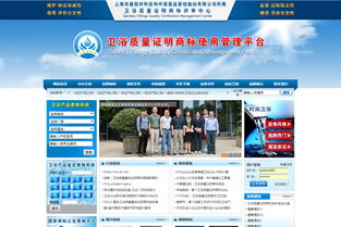 上海网站建设与网页设计专家 网至普打造高效营销型网站