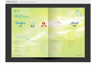 上海画册与网页设计 品牌视觉传播的双翼